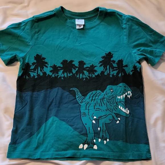 Hanna Andersson Other - Hanna Andersson Teal Dinosaur Adventure Tee